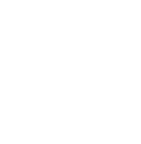 Paměť Romů